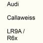 Preview: Audi, Callaweiss, LR9A / R6x.